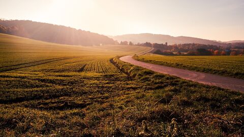 Fotoaufnahme vom Ländlichen Raum - Landschaftsaufnahme mit sonnenbeschienenen Feldern
