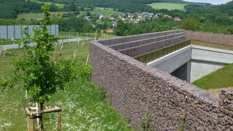 Fotoaufnahme einer Grünbrücke - Grüne Landschaft neben einem Bauwerk aus Stein