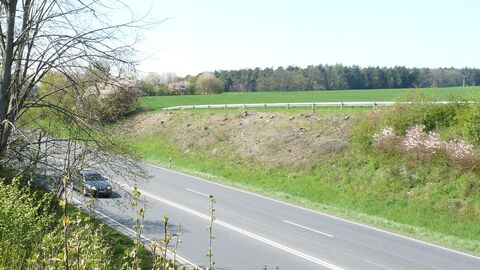 Das Bild ist im Mai 2016 nach den Gehölzpflegearbeiten im Zuge der B 254 bei Fulda entstanden. Auf einer Länge von 50 Metern wurden die Gehölze auf den Stock gesetzt. Im rechten Bildabschnitt liegen die Gehölzpflegearbeiten zwei Jahre zurück. Gehölzpflegearbeiten - Fotoaufnahme einer Straße umgeben von Grün: Das Bild ist im Mai 2016 nach den Gehölzpflegearbeiten im Zuge der B 254 bei Fulda entstanden. Auf einer Länge von 50 Metern wurden die Gehölze auf den Stock gesetzt. Im rechten Bildabschnitt liegen die Gehölzpflegearbeiten zwei Jahre zurück.