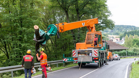 Ein Baum wird durch einen Kran mit Säge einer Straßenböschung entnommen