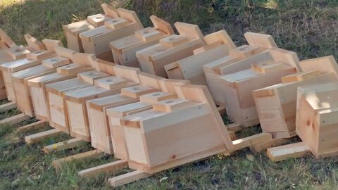 Einen Großteil der Nistkästen hatten die Schüler schon mit zur Straßenmeisterei gebracht