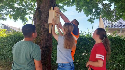 Projektinitiator Gunter Johe von der Straßenmeisterei Beerfelden befestigt gemeinsam mit drei Schülern der Projektklasse den ersten Nistkasten.