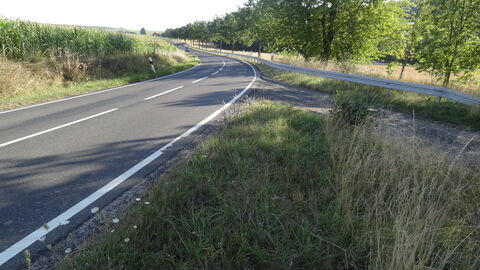 Auf einem Teilabschnitt der L 3193 ist rechts der Fahrbahn eine Allee auf der linken Seite ein Feld.