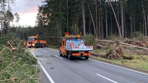 Beseitigung von Sturmschäden in Nordhessen Mehrere Sturmtiefs wirbelten im Februar durch Nordhessen. Alle Straßenmeistereien befanden im Dauereinsatz. In Zusammenarbeit mit Feuerwehren, Bauhöfen und Hessen Forst konnten sie den Großteil Sturmschäden an und auf den Bundes-, Landes- und Kreisstraßen so schnell wie möglich zu beseitigen.