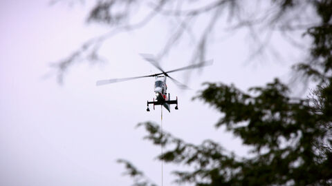 Spezial-Hubschrauber hilft bei Gehölzpflege Spezial-Hubschrauber hilft bei Gehölzpflege