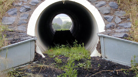 Amphibientunnel Amphibientunnel