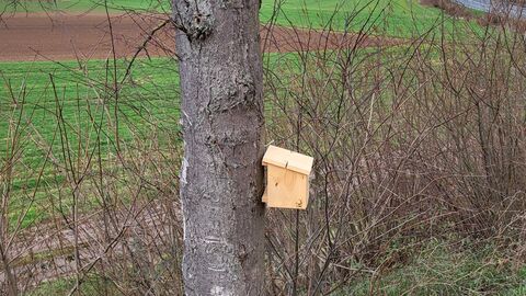 Aufhängung von Haselmaus-Kästen Die Artenschutzexperten von Hessen Mobil im Einsatz 20