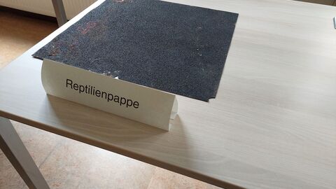 Ausstellungsstück Amphibienpappe