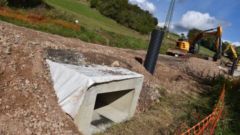Neu gebaute Amphibienschutzanlage in Lispenhausen