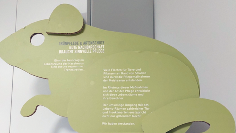 Die Haselmaus als Modell