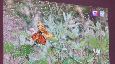 "Filmreife Natur" - der prämierte Kurzfilm von Hessen Mobil wird gezeigt 