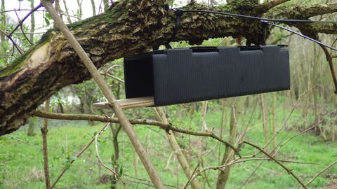 Haselmaus-Tube an einem Ast aufgehängt