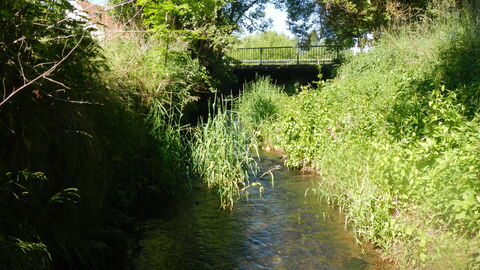 Idyllisch - die Brücke über die Lauter in Frischborn