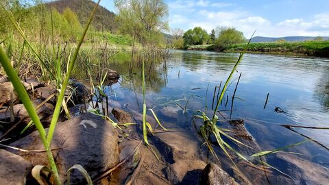 Einmuendung der neuen Aue in die Werra
