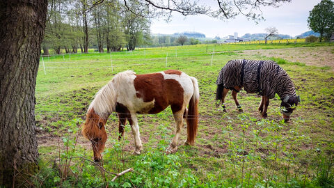 L 2304 Heubach-Uttrichshausen Radweg Verkehrsfreigabe L 2304 Heubach-Uttrichshausen Radweg Verkehrsfreigabe