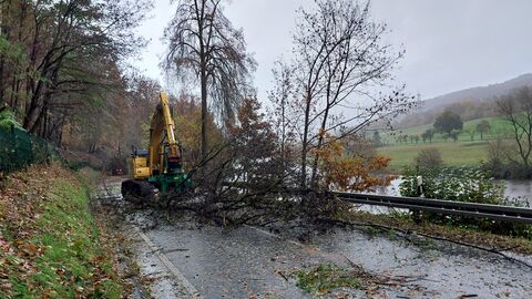 B3: Gehölzpflegearbeiten bei Fuldatal im Landkreis Kassel