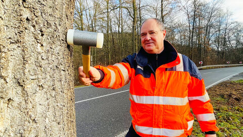 Baumkontrolleur von Hessen Mobil