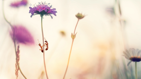 Sanfter Straßenbau Sanfter Straßenbau