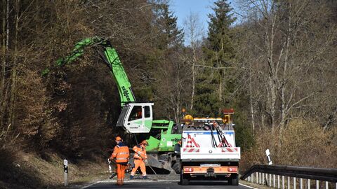 Baumfällarbeiten mit einem Spezialbagger auf einer Landesstraße 