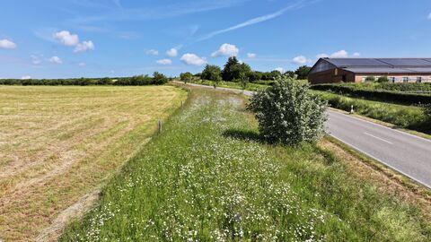 Blühstreifen bei Stephanshausen Drohnenaufnahme des Blühstreifen bei Stephanshausen