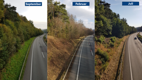 Gehölzpflegearbeiten Hessen Mobil 