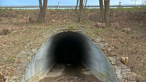 B 47 Verfüllung UF Vietrieb bei Kolmbach