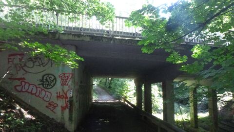 Waldweg unter der B 54 Brücke bei Taunusstein