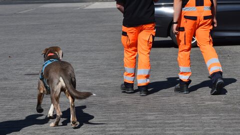 AFS-Begleithund Hugo im Einsatz