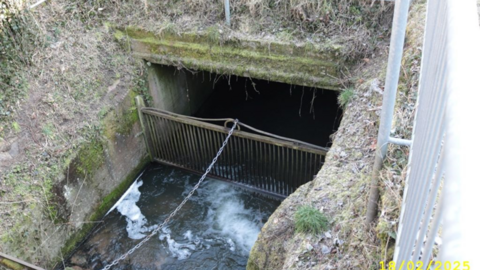 Verdolung des Rehbachs an der Kreisstraße 50 in Michelstadt