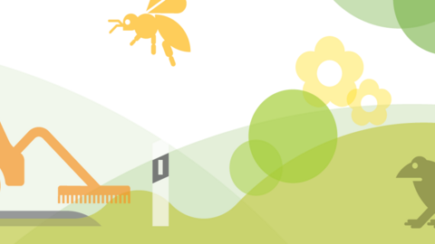 Broschüre Straßenbegleitgrün in Hessen